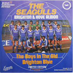 The Seagulls The Old Brighton Blue / The Goldstone Rap Vinyl 7" USED