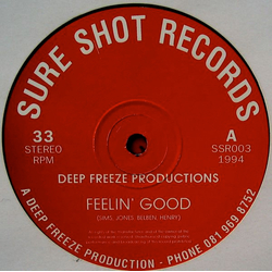 Deep Freeze Productions Feelin' Good Vinyl 12" USED