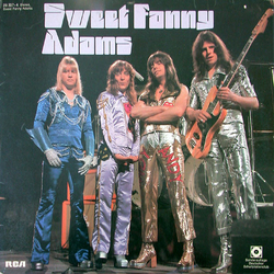 The Sweet Sweet Fanny Adams Vinyl LP USED