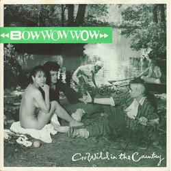 Bow Wow Wow Go Wild In The Country Vinyl 7" USED