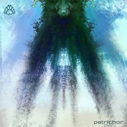 DRRTYWULVZ Petrichor Vinyl LP USED