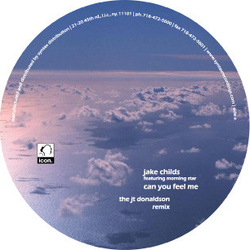 Jake Childs Can You Feel Me Vinyl 12" USED