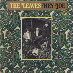 The Leaves Hey Joe Vinyl LP USED
