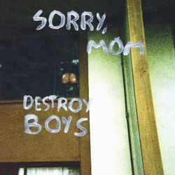 Destroy Boys Sorry, Mom Vinyl 12" USED