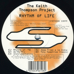 The Keith Thompson Project Rhythm Of Life Vinyl 12" USED