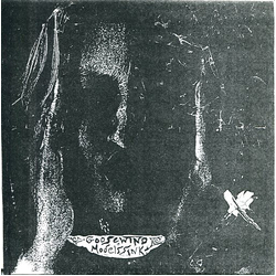 Goosewind Model's Sink Vinyl 7" USED