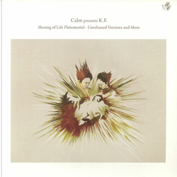Calm / Kiyotaka Fukagawa Shining Of Life Flutemental - Unreleased Mixes And More Vinyl 12" USED