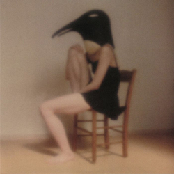 Various Penguin Cafe Orchestra - Tribute Vinyl LP USED