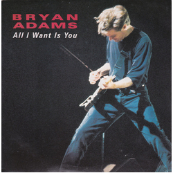 Bryan Adams All I Want Is You Vinyl 7" USED