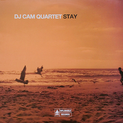 DJ Cam Quartet Stay Vinyl LP USED