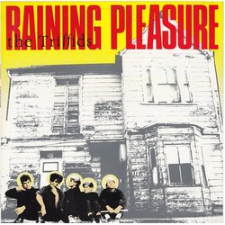The Triffids Raining Pleasure Vinyl 12" USED