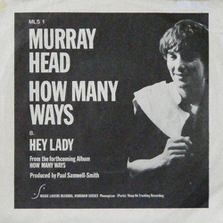 Murray Head How Many Ways Vinyl 7" USED