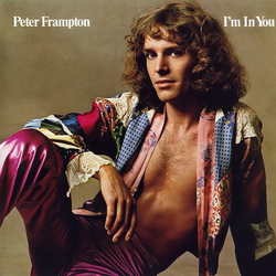 Peter Frampton I'm In You Vinyl LP USED