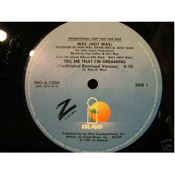 Was (Not Was) Tell Me That I'm Dreaming Vinyl 12" USED