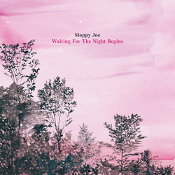 Sloppy Joe (6) Waiting For The Night Begins Vinyl LP USED