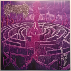 Civerous Maze Envy Vinyl LP USED