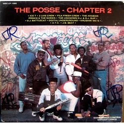 Various The Posse - Chapter 2 Vinyl LP USED