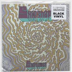 Skinshape Stornoway Vinyl 7" USED