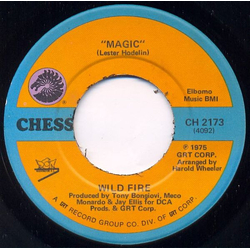 Wild Fire (2) Magic / Put Some More Flavor Vinyl 7" USED