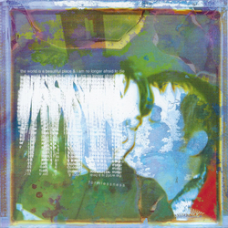 The World Is A Beautiful Place & I Am No Longer Afraid To Die Formlessness Vinyl 7" USED