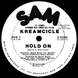 Kreamcicle Hold On Vinyl 12" USED