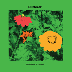 Glitterer Life Is Not A Lesson Vinyl LP USED