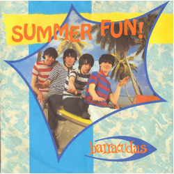 Barracudas Summer Fun Vinyl 7" USED