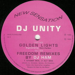 DJ Unity Golden Lights / Freedom Vinyl 12" USED