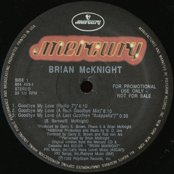 Brian McKnight Goodbye My Love Vinyl 12" USED