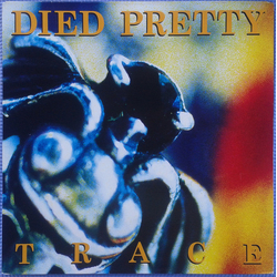 Died Pretty Trace Vinyl LP USED