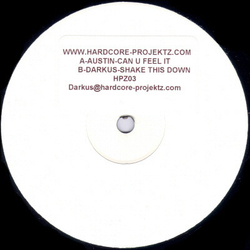 Austin Reynolds / Darkus (2) Can U Feel It / Shake This Down Vinyl 12" USED