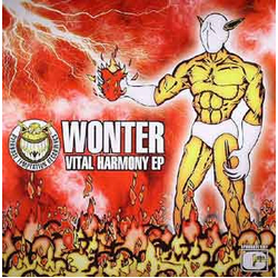 Wonter Vital Harmony EP Vinyl 12" USED