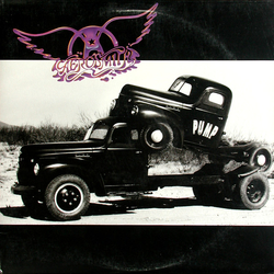 Aerosmith Pump Vinyl LP USED