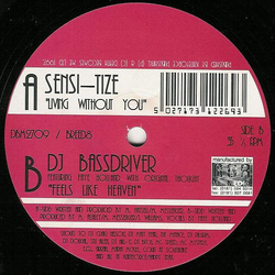 Sensi-tize / DJ Bassdriver Living Without You / Feels Like Heaven Vinyl 12" USED