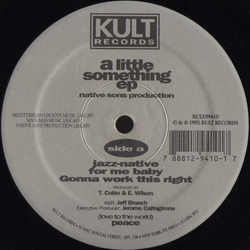 Native Sons Productions A Little Something EP Vinyl 12" USED