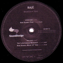 Raje Shwari Worship You Vinyl 12" USED