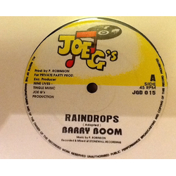 Barry Boom Raindrops Vinyl 12" USED