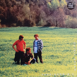 Parkinson D.C. Green Fields Vinyl LP USED