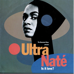 The Basement Boys / Ultra Naté Is It Love? Vinyl 7" USED