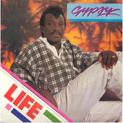 Gypsy Life Vinyl LP USED