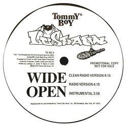 LeShaun Wide Open VINYL 12" USED