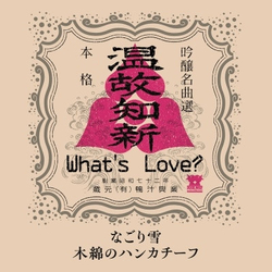What's Love? なごり雪 / 木綿のハンカチーフ Vinyl 7" USED