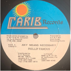 Phillip Famous / De Andrew Any Means Necessary / Mad Over The Munga Vinyl 12" USED