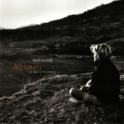 David Sylvian Alchemy An Index Of Possibilities Vinyl LP USED
