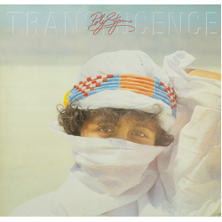 Poly Styrene Translucence Vinyl LP USED