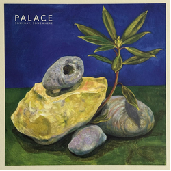 Palace (14) Someday, Somewhere Vinyl 12" USED
