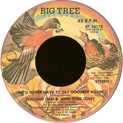 England Dan & John Ford Coley We'll Never Have To Say Goodbye Again Vinyl 7" USED