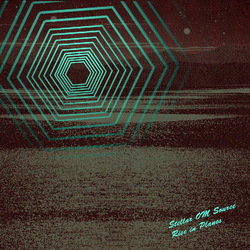 Stellar OM Source Rise In Planes Vinyl LP USED