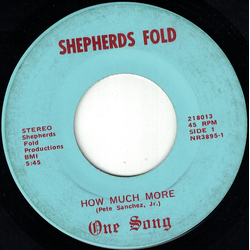 One Song How Much More Vinyl 7" USED