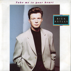 Rick Astley Take Me To Your Heart Vinyl 7" USED